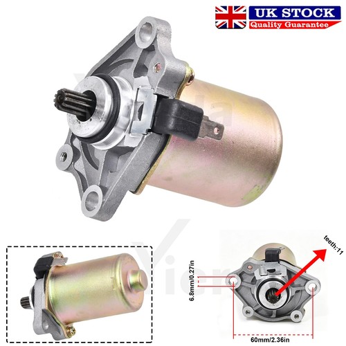 Teeth starter motor piaggio - starter,
